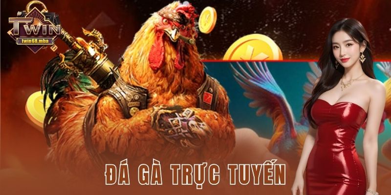 Đá gà trực tuyến Twin68